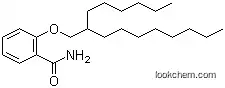 Molecular Structure of 202483-62-3 (2-(2-Hexyldecyloxy)benzamide)
